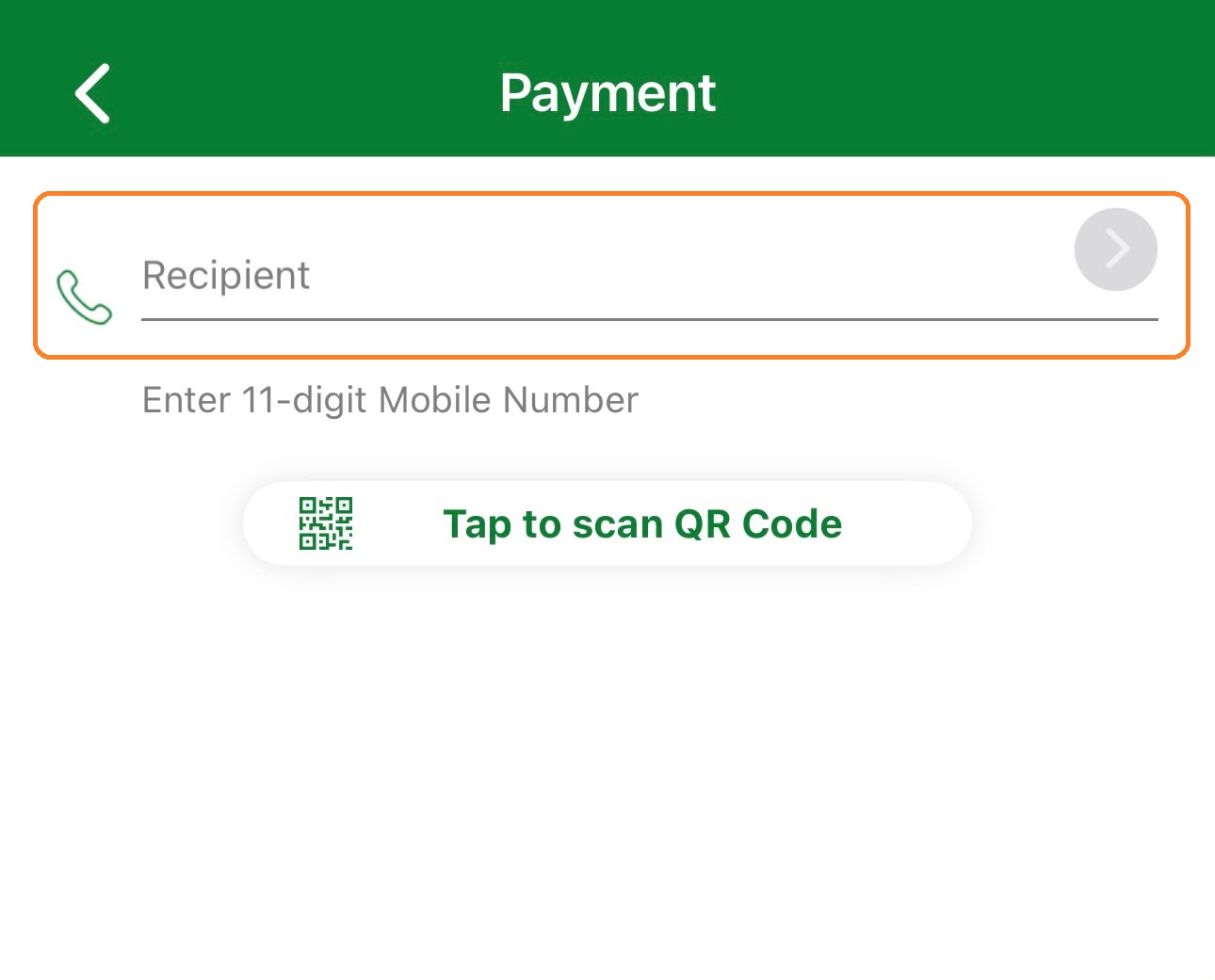Nagad Payment screen with Recipient mobile number field